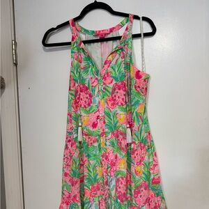 Lilly Pulitzer dress.